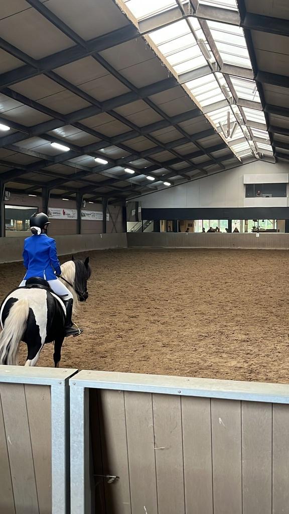 Verzorg pony/paard gezocht, Dieren en Toebehoren, Ophalen of Verzenden, Nieuw