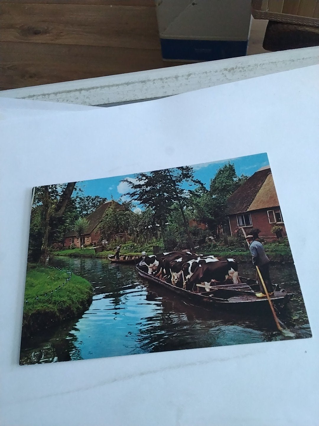 Ansichtkaart Giethoorn: Koeienvervoer per boot, Ophalen of Verzenden, Overijssel
