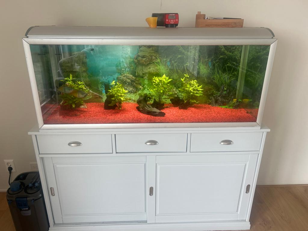 Complete aquarium, Dieren en Toebehoren, Vissen | Aquaria en Toebehoren, Ophalen, Inclusief vissen, Zo goed als nieuw, Gevuld zoetwateraquarium