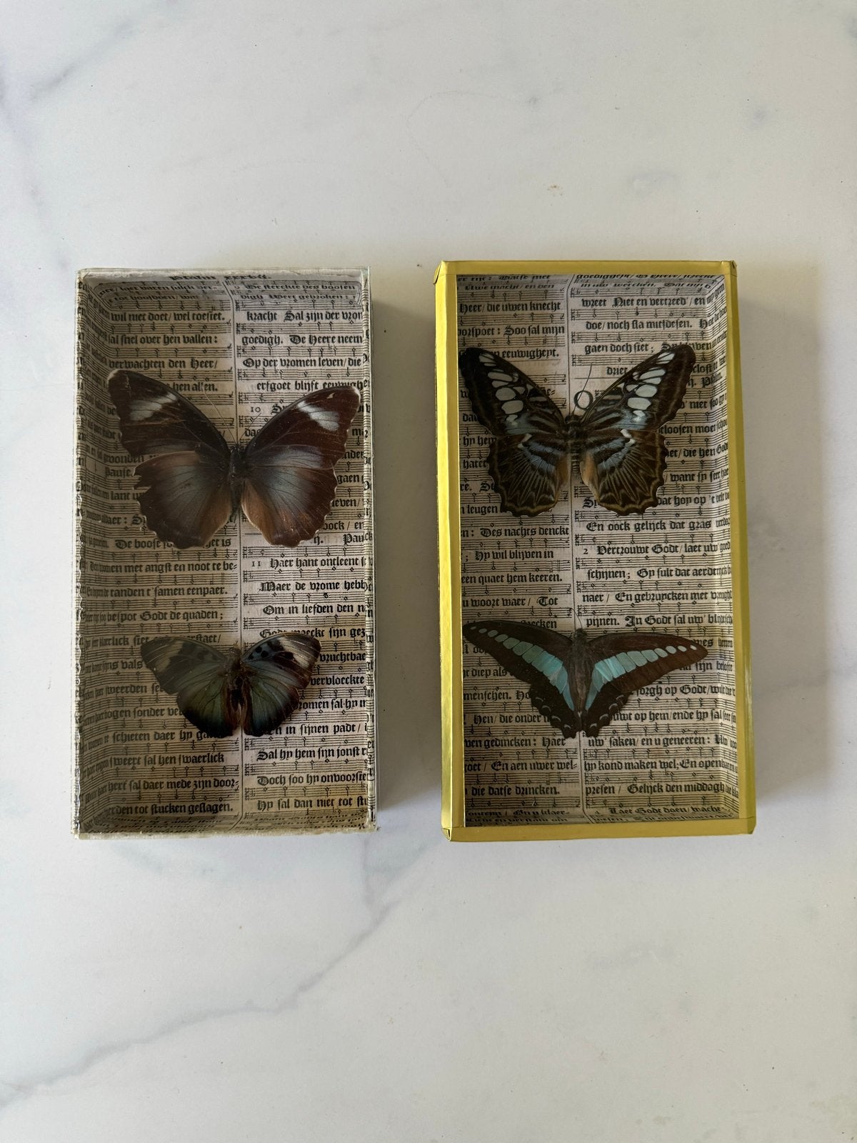 4 opgezette vlinders in lijstjes met 300 jaar oud papier, Verzenden, Gebruikt, Insect, Opgezet dier