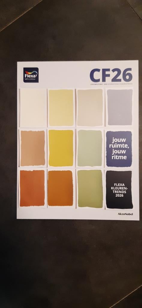 Flexa Kleurentrends 2026, Jouw Ruimte, Jouw Ritme, Boeken, Akzo Nobel, Nieuw, Ophalen of Verzenden, Interieur en Design