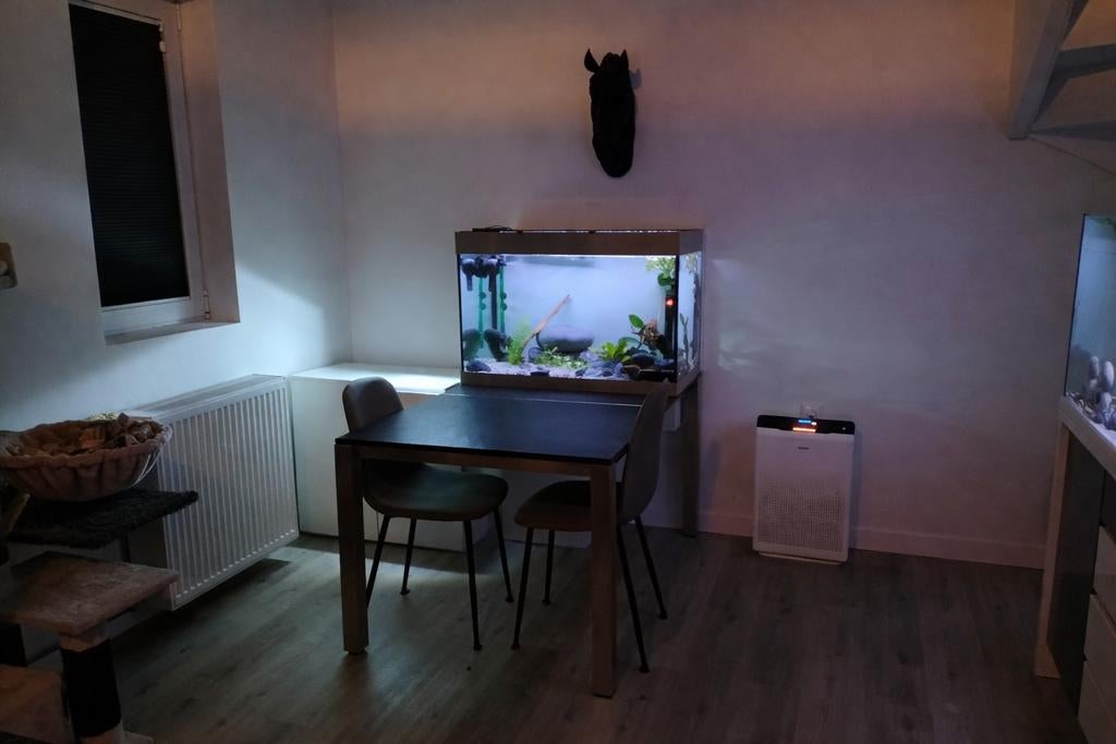 Speciaalbouw Aquarium 270 Liter, Dieren en Toebehoren, Ophalen, Gebruikt, Leeg aquarium