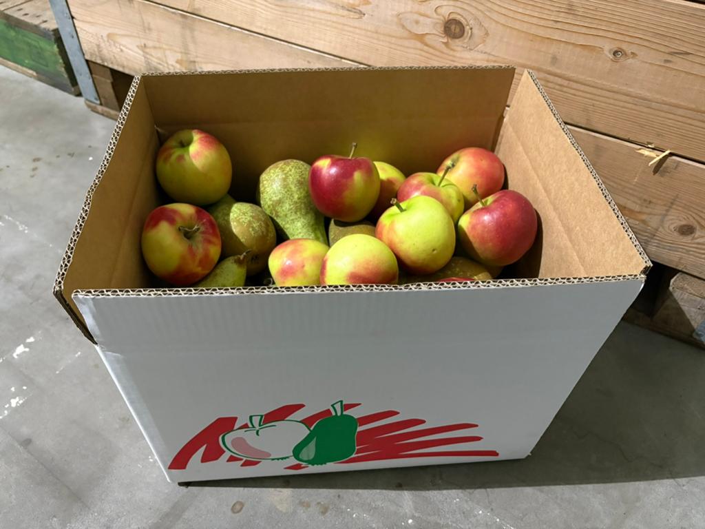 Doos met appels / peren, Ophalen of Verzenden