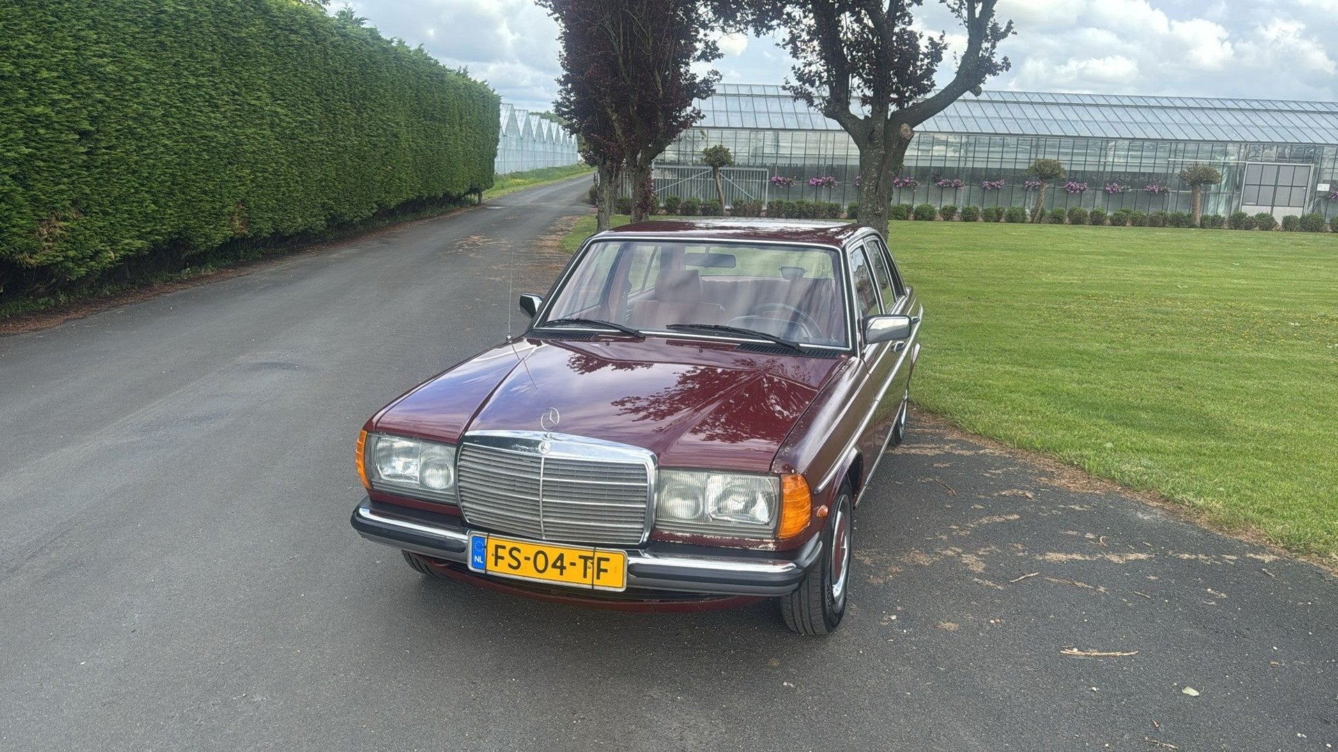 Mercedes-Benz 200-280 (W123) 200 176.000 Nap Automaat Benzin, Auto's, 94 pk, Achterwielaandrijving, Gebruikt, 4 cilinders