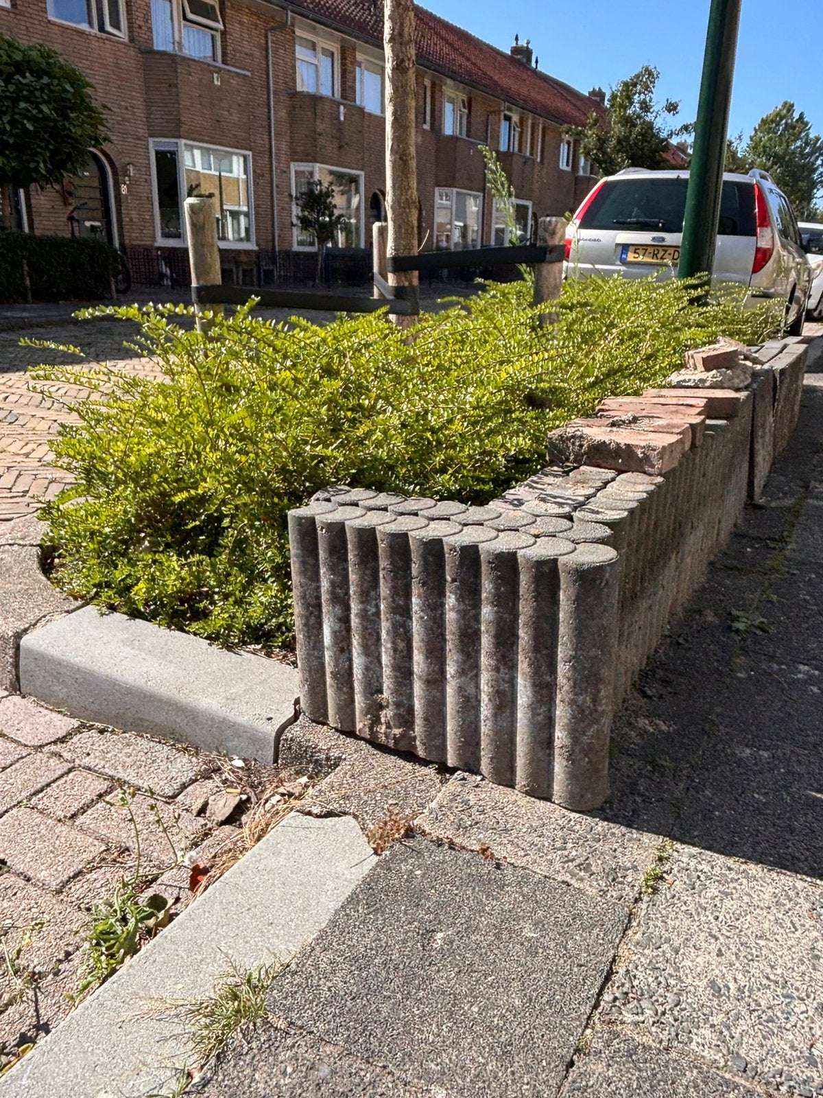 Gebruikte bielzen, Tuin en Terras, Ophalen, Gebruikt, 25 tot 50 cm, Biels