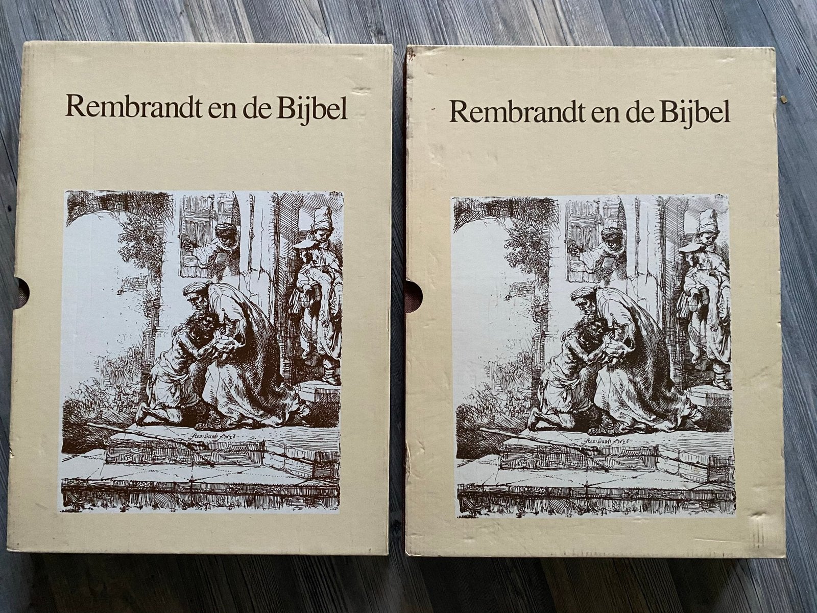 Rembrandt en de Bijbel Oude en Nieuwe Testament, Antiek en Kunst, Antiek | Boeken en Bijbels, Ophalen of Verzenden