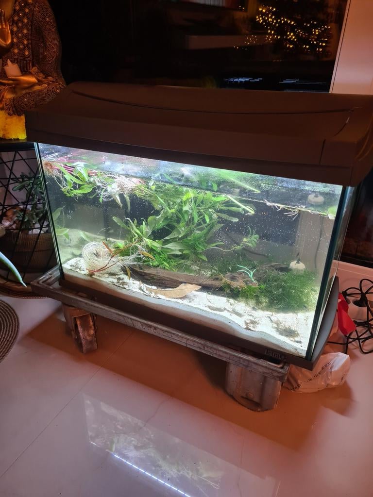 Mooie aquarium met led verlichting lekvrij 60x30, Dieren en Toebehoren, Ophalen of Verzenden, Zo goed als nieuw, Leeg aquarium