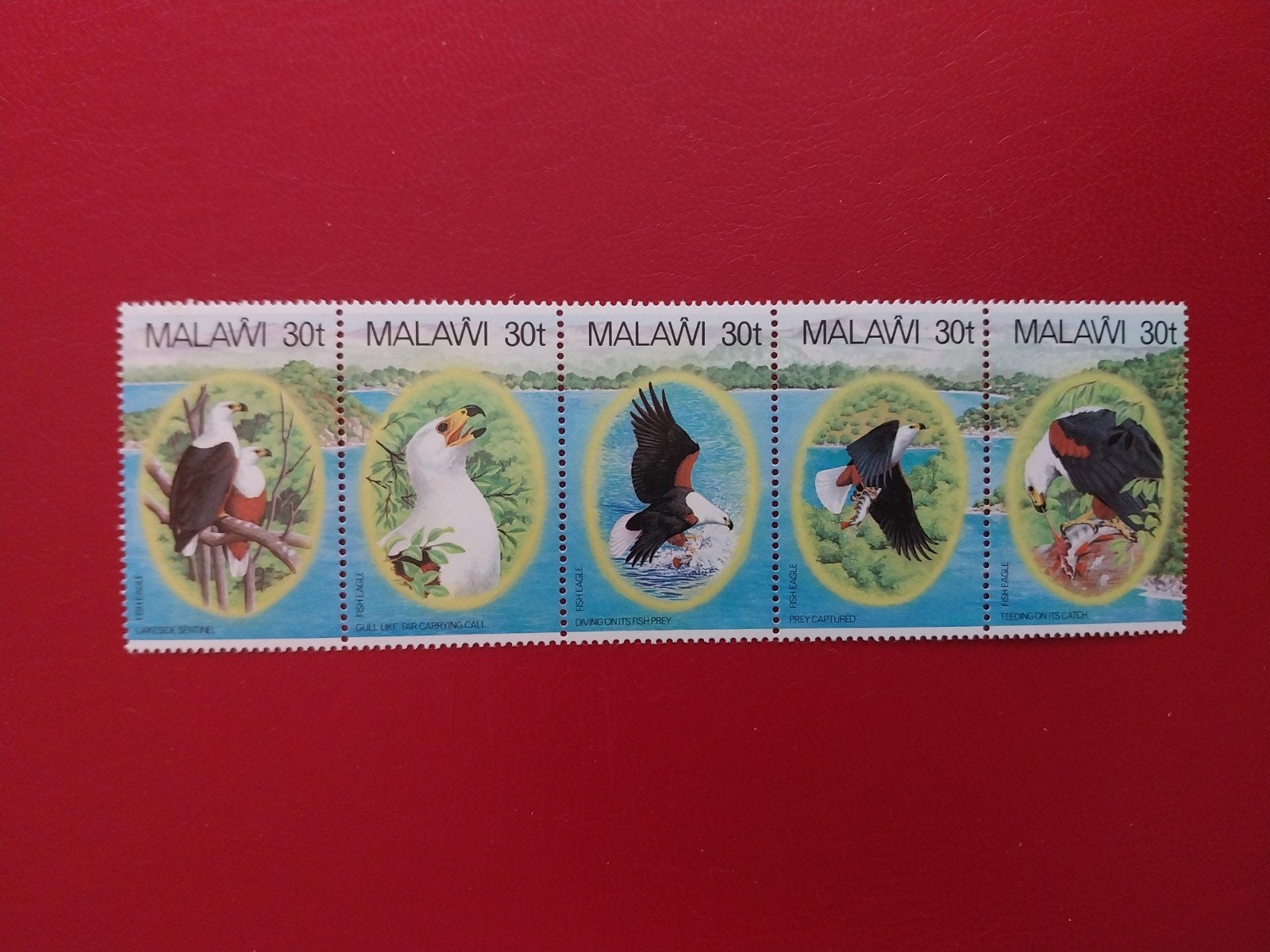 Malawi 396-399 vogels 1983 postfris 8 euro mi, Ophalen of Verzenden, Dier of Natuur
