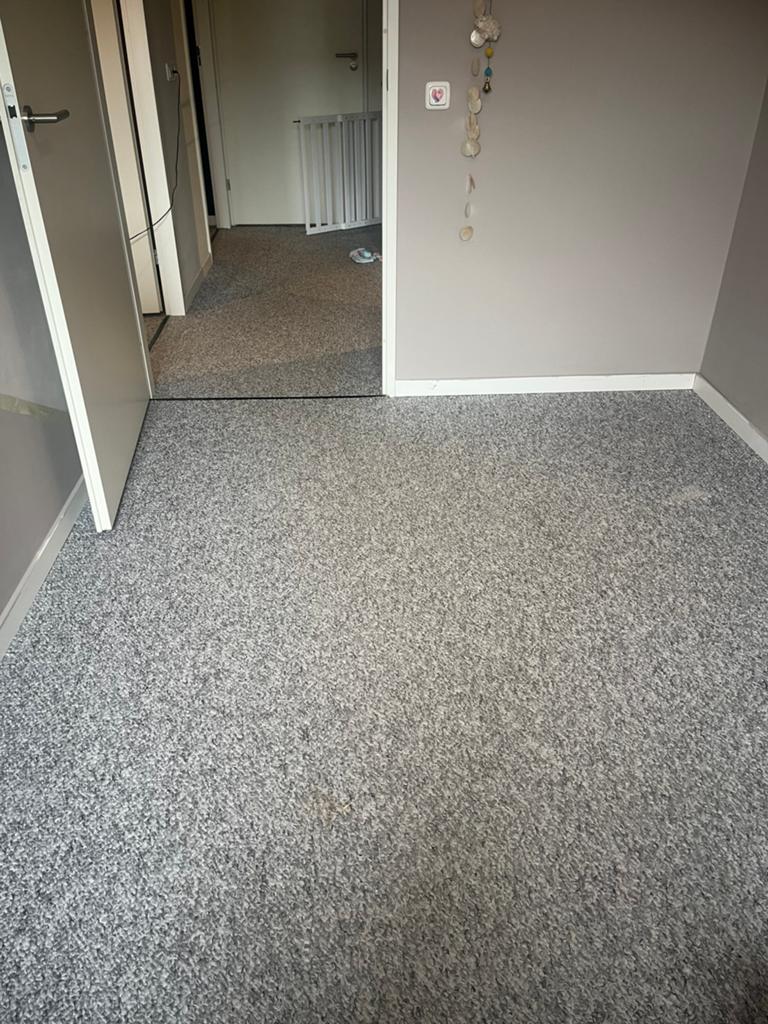 Vloerbedekking ong. 40m2, gratis ophalen!, Huis en Inrichting, Stoffering | Vloerbedekking, Gebruikt, Tapijt, Grijs, 25 tot 50 m²
