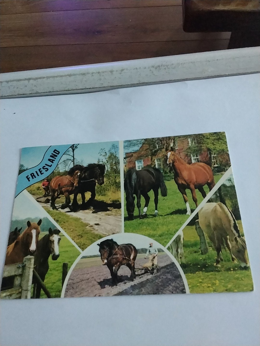 Ansichtkaart Friesland met Friese paarden, Ophalen of Verzenden