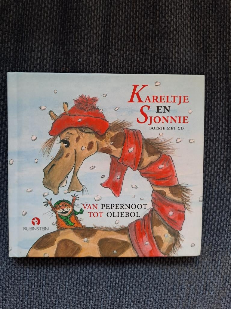 Kareltje en Sjonnie Van pepernoot tot oliebol - Job Schuring, Boeken, Gelezen, Job Schuring, Fictie algemeen, Jongen of Meisje