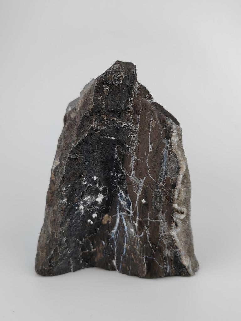 Versteend hout met kwarts uit Indonesië, Verzamelen, Mineralen en Fossielen, Mineraal, Ophalen of Verzenden