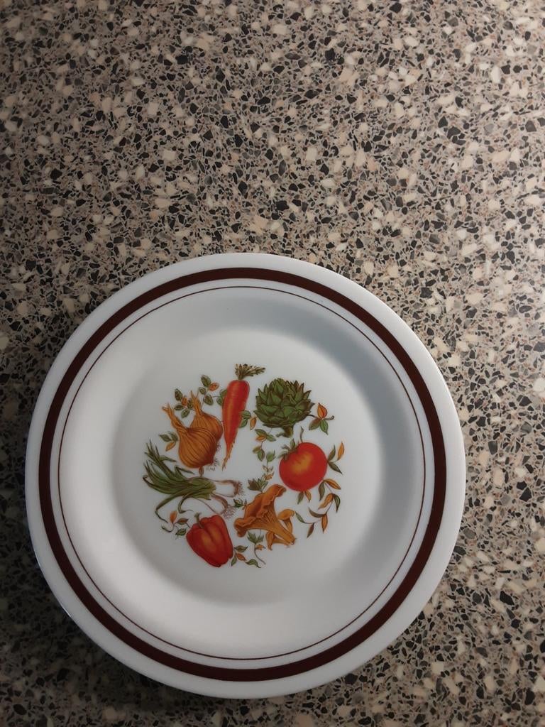 6 arcopal borden.  24 cm doorsnee. Zgan., Antiek en Kunst, Ophalen of Verzenden