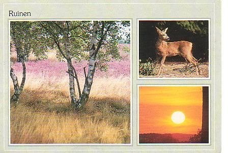Ansichtkaart 	Ruinen	3-luik, Verzenden, 1980 tot heden, Gelopen, Drenthe
