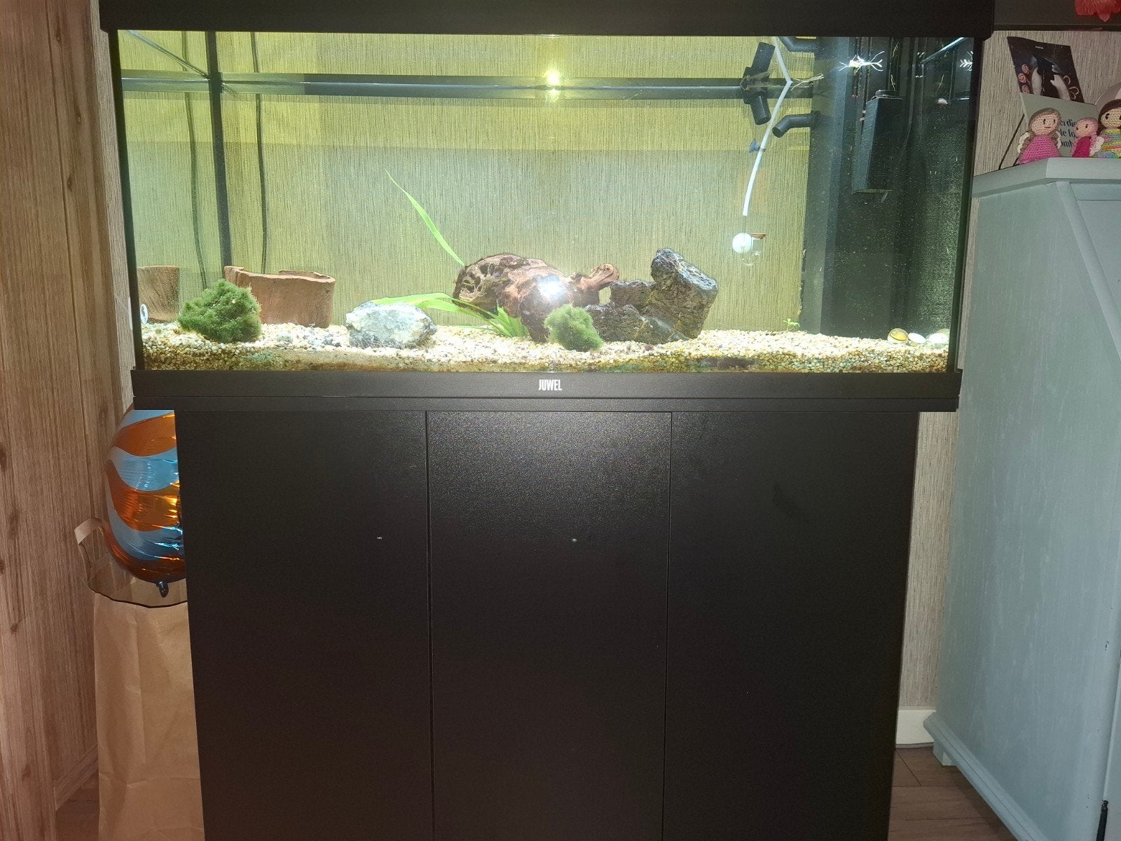 Juwel rio 180. 300euro of een goed bod. Moet weg, Ophalen, Leeg aquarium