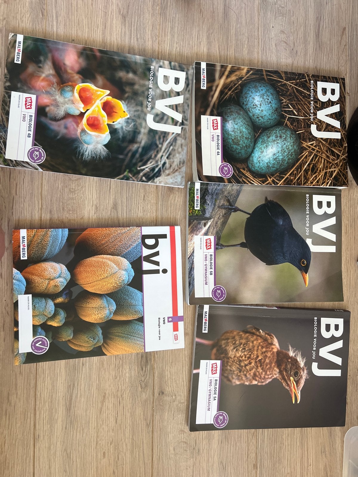 Biologie voor Jou VWO boeken (Malmberg), Boeken, Ophalen of Verzenden, Gelezen, VWO, Biologie