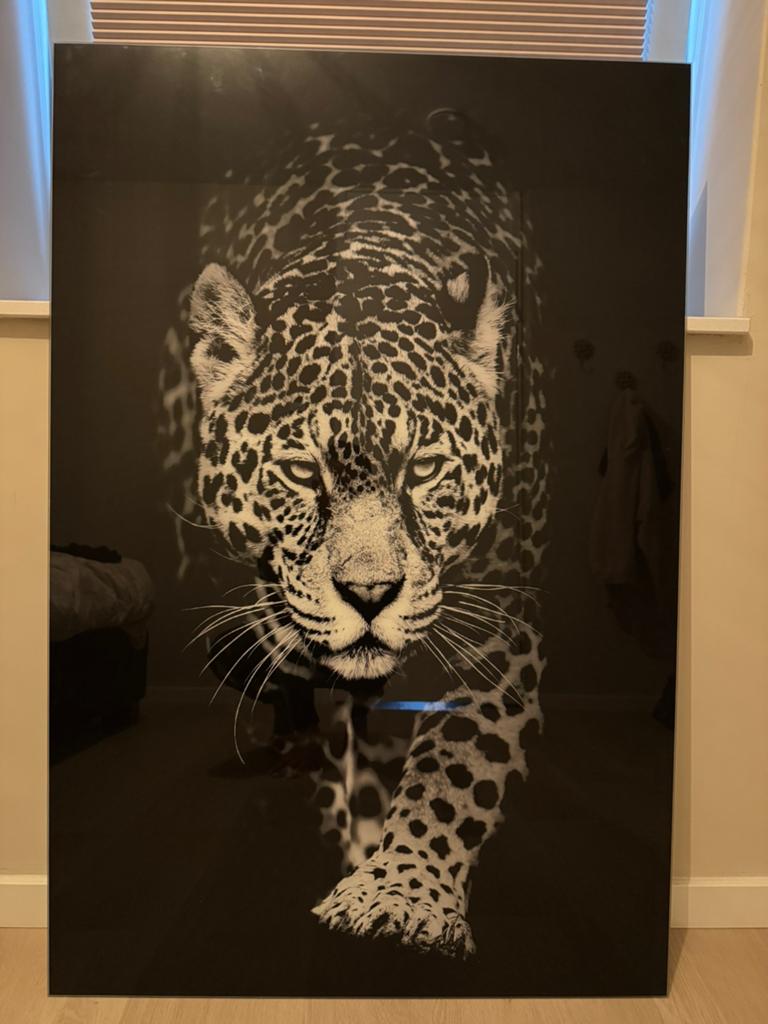 Glas schilderij Luipaard 800x1200(breedte x hoogte), Ophalen