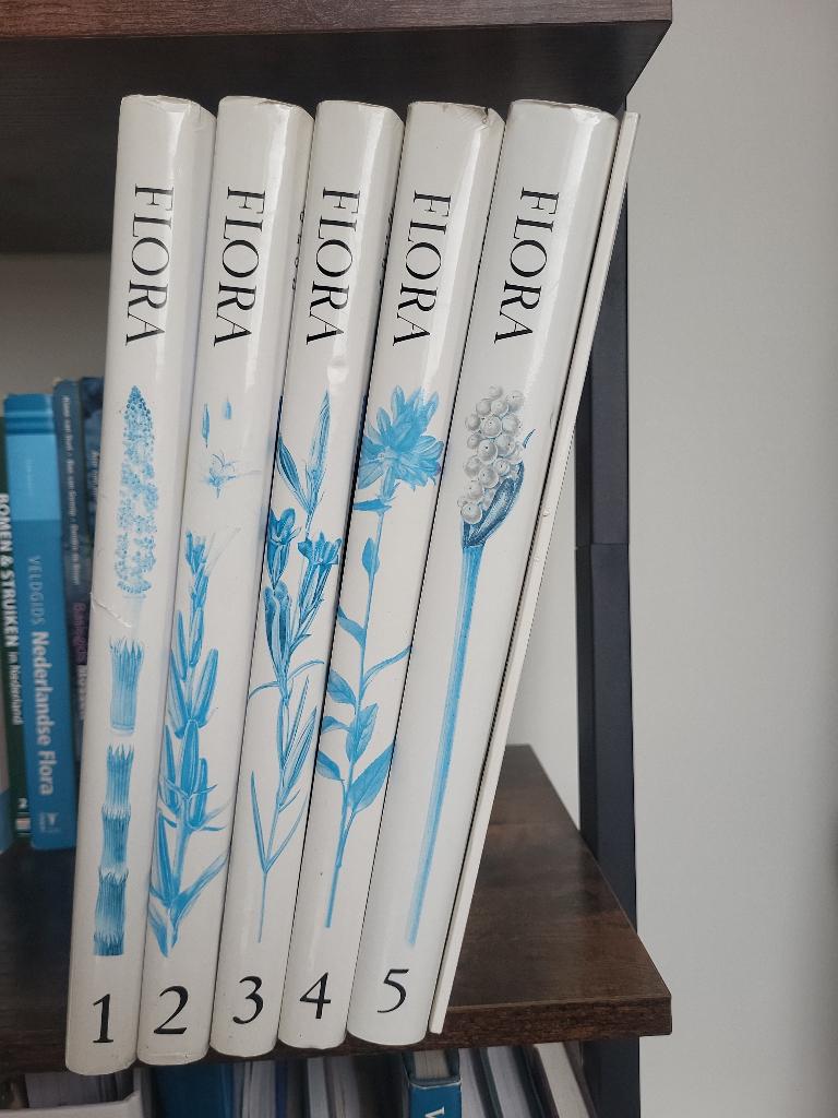 Complete Nederlandse Oecologische Flora 1–5 (Weeda e.a.), Boeken, Bloemen, Planten en Bomen, Ophalen of Verzenden, Zo goed als nieuw