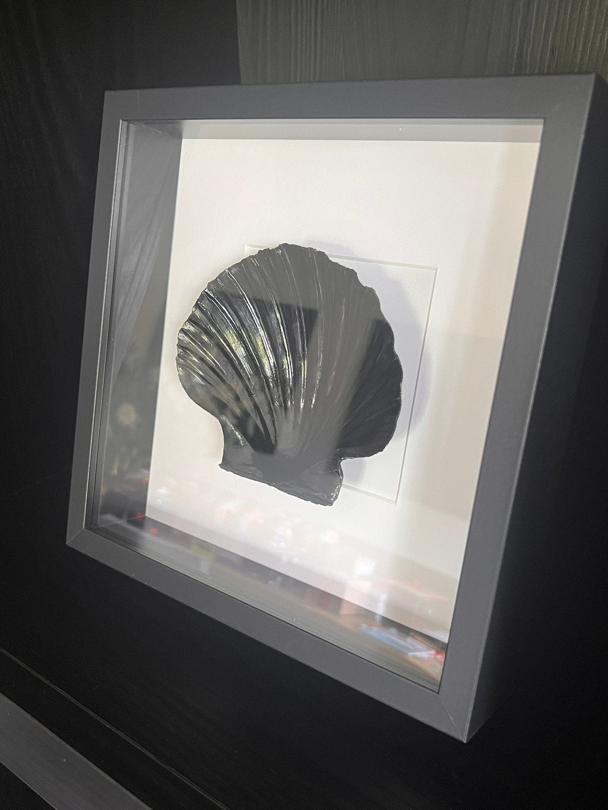 Mooie coquille schelp in 3D lijst, Huis en Inrichting, Ophalen of Verzenden, Zo goed als nieuw