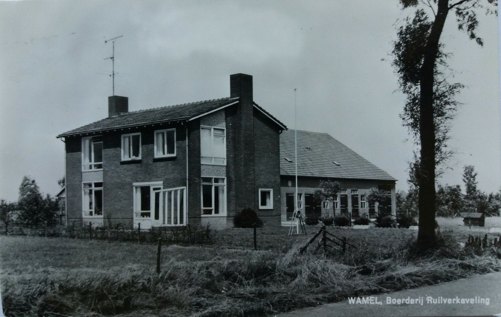Mooie asicht(fotokaart Een Ruilverkavelings boerderij /Wamel, Verzamelen, Ophalen of Verzenden, 1980 tot heden, Gelopen, Gelderland
