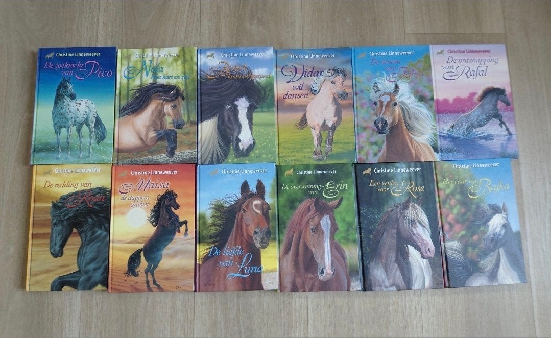 Gouden Paarden serie boeken, Boeken, Verzenden, Zo goed als nieuw, Christine Linneweever
