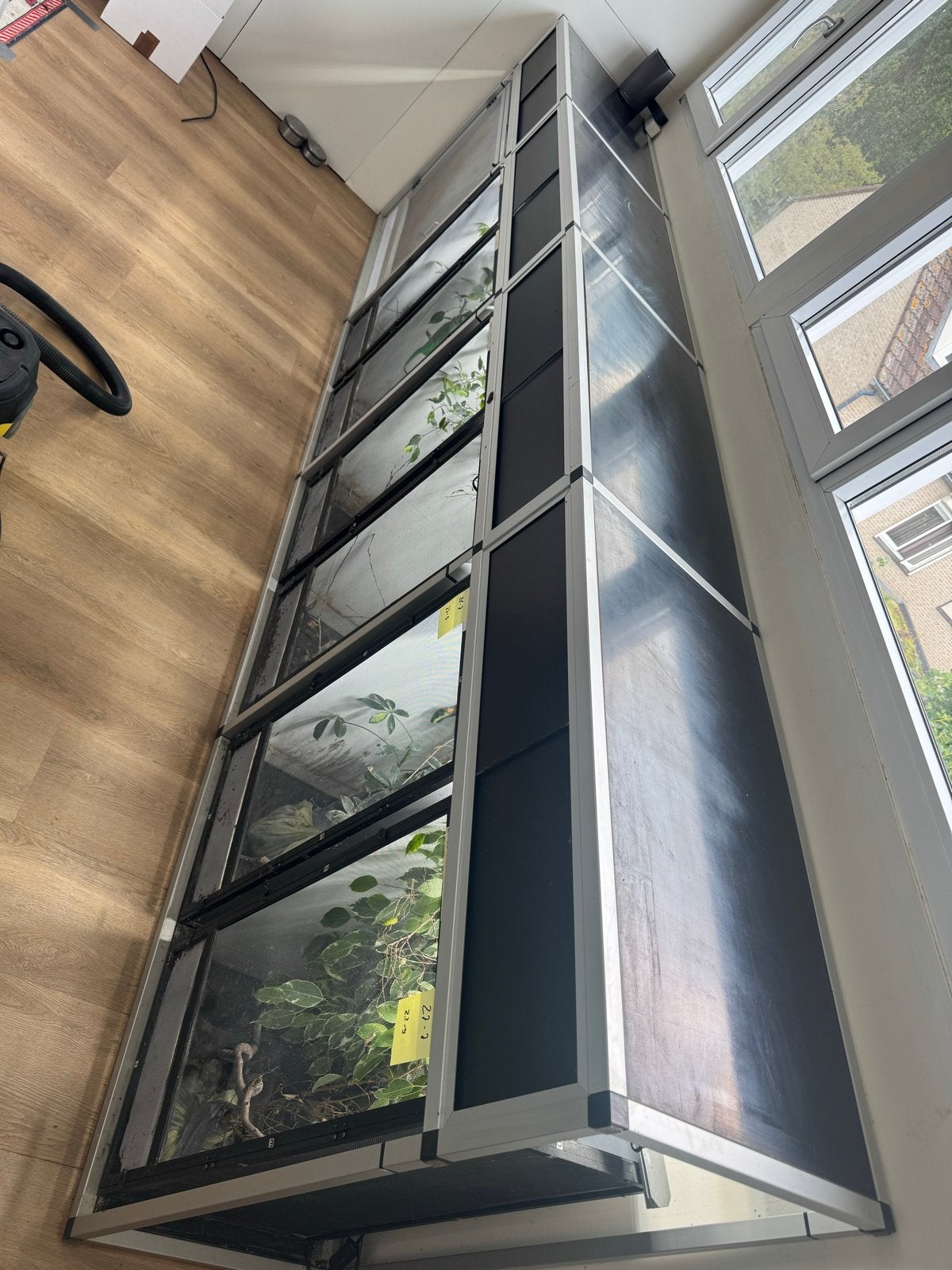 Terrariumstelling + terrariums (eventueel met verlichting), Dieren en Toebehoren, Ophalen