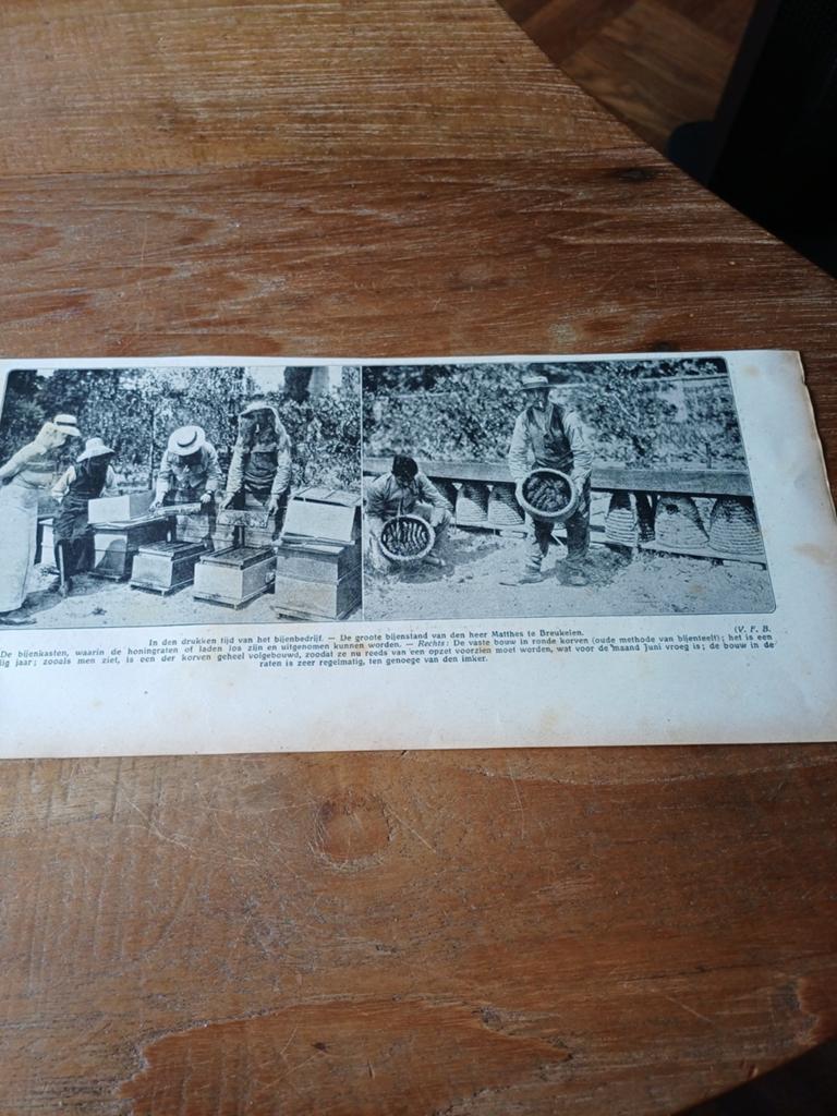 Knipsel bijenbedrijf Matthes Breukelen 1915, Ophalen of Verzenden, Voor 1920, Knipsel(s)