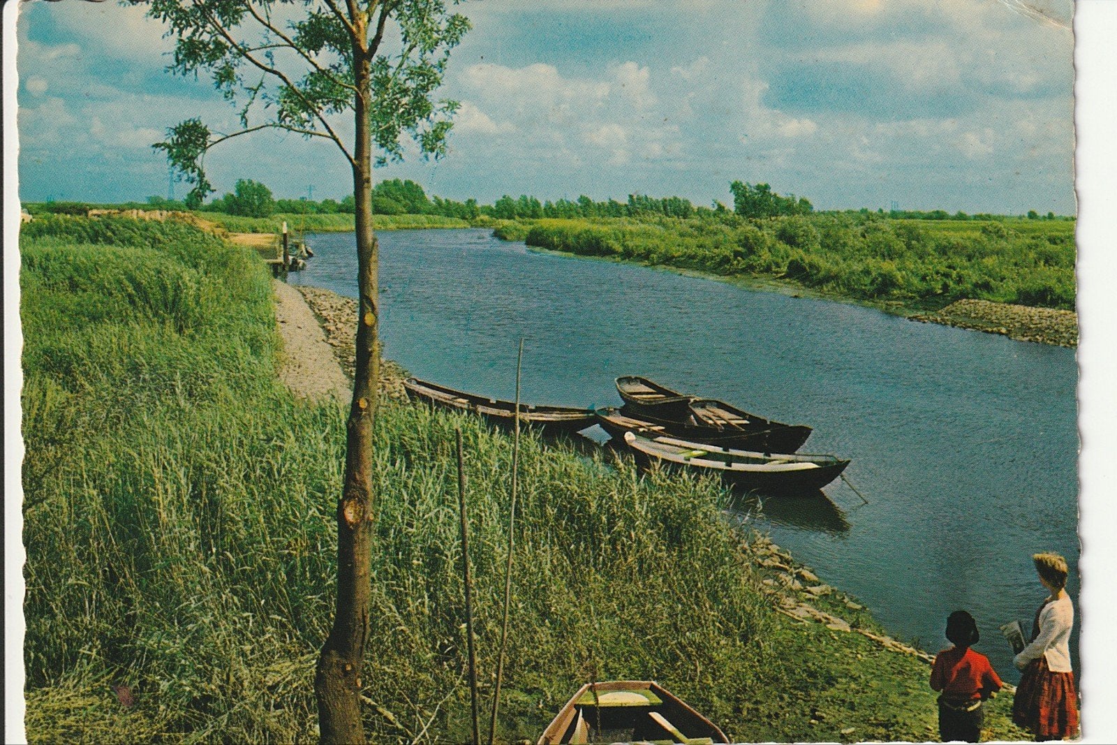 BIESBOSCH UNIEK WATERSPORTGEBIED CAFE 't VEERHUIS DRIMMELEN, Ophalen of Verzenden, 1960 tot 1980, Gelopen, Noord-Brabant