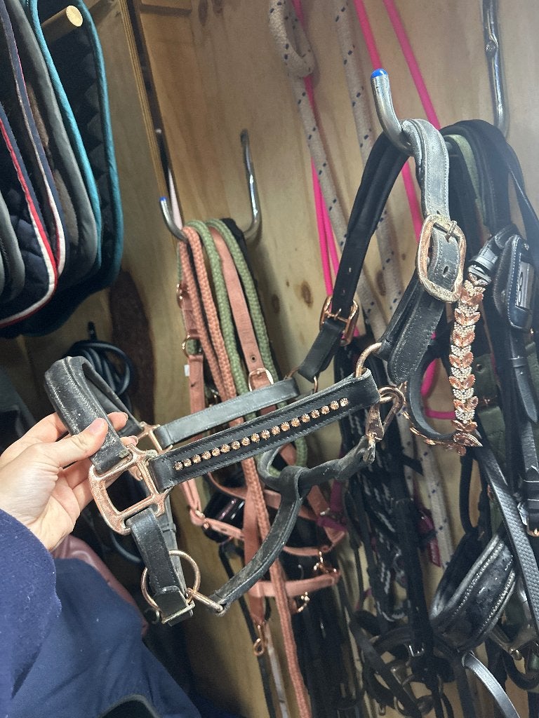 Leren halster zwart en rose goud, Ophalen of Verzenden, Zwart, Verstelbaar, Full