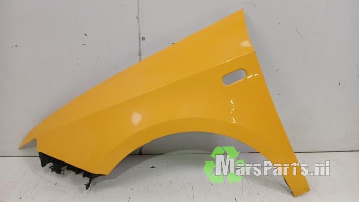 Scherm links-voor van een Seat Ibiza (0423)