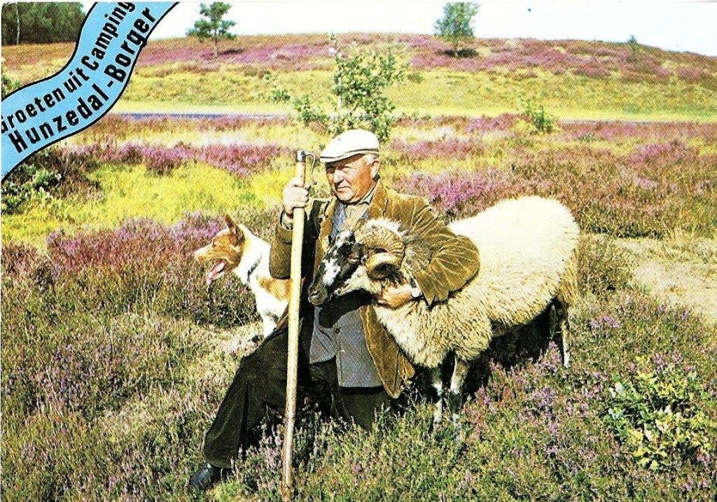 TW26-45 Dwingelo Borger Hunzedal parallel kaarten 4 stuks, Verzenden, 1960 tot 1980, Overige thema's