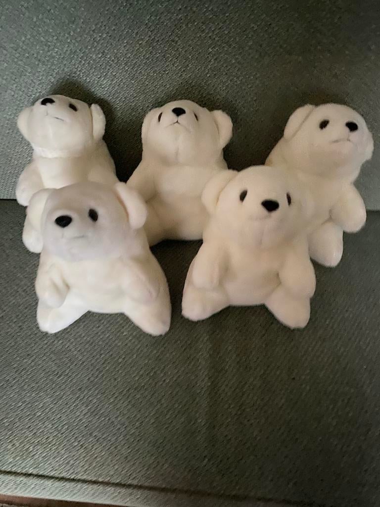Knuffels (ijsbeertjes), Ophalen of Verzenden, Nieuw, Dier