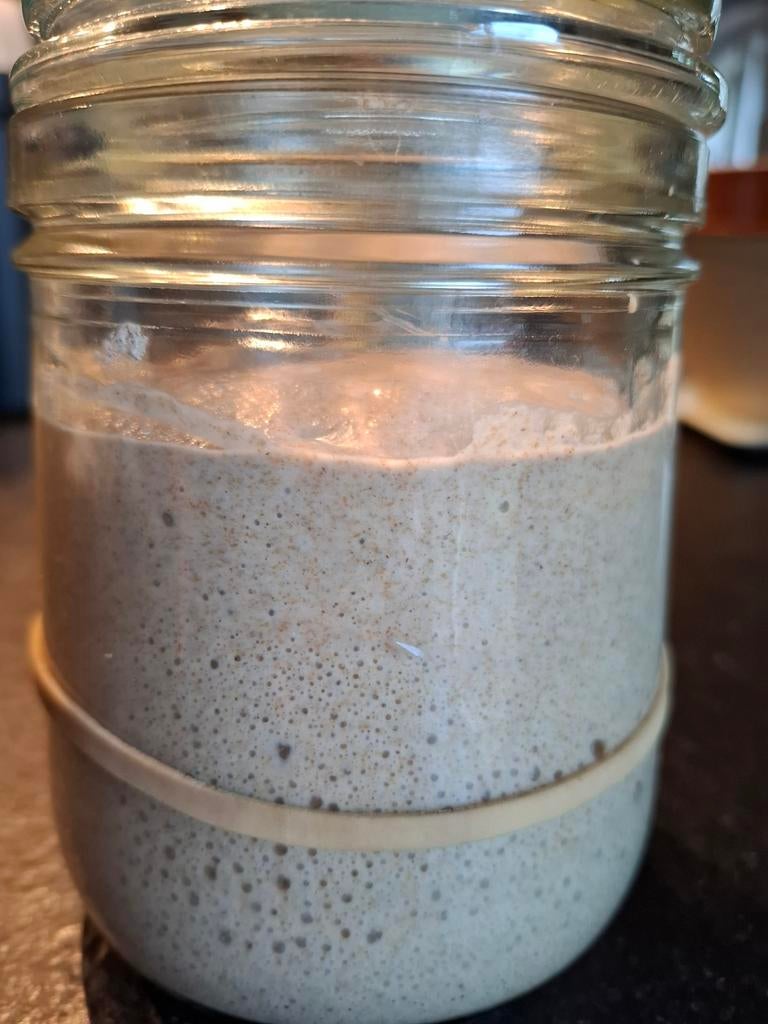 Zuurdesemstarter, van 100% biologisch roggemeel, Ophalen