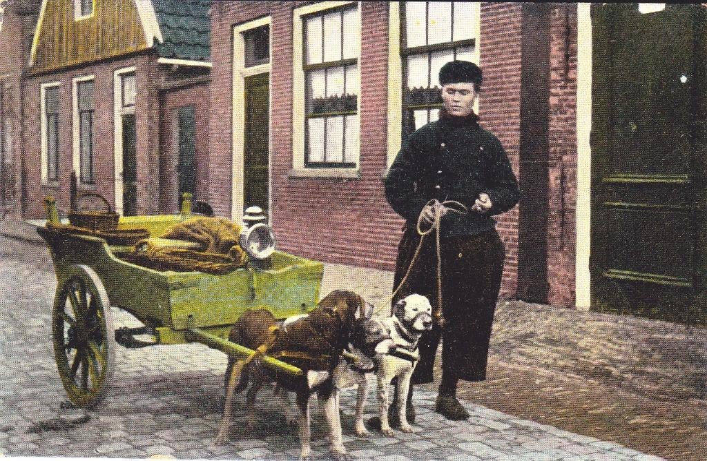 HONDENKAR, Verzamelen, Ophalen of Verzenden, Voor 1920, Noord-Brabant