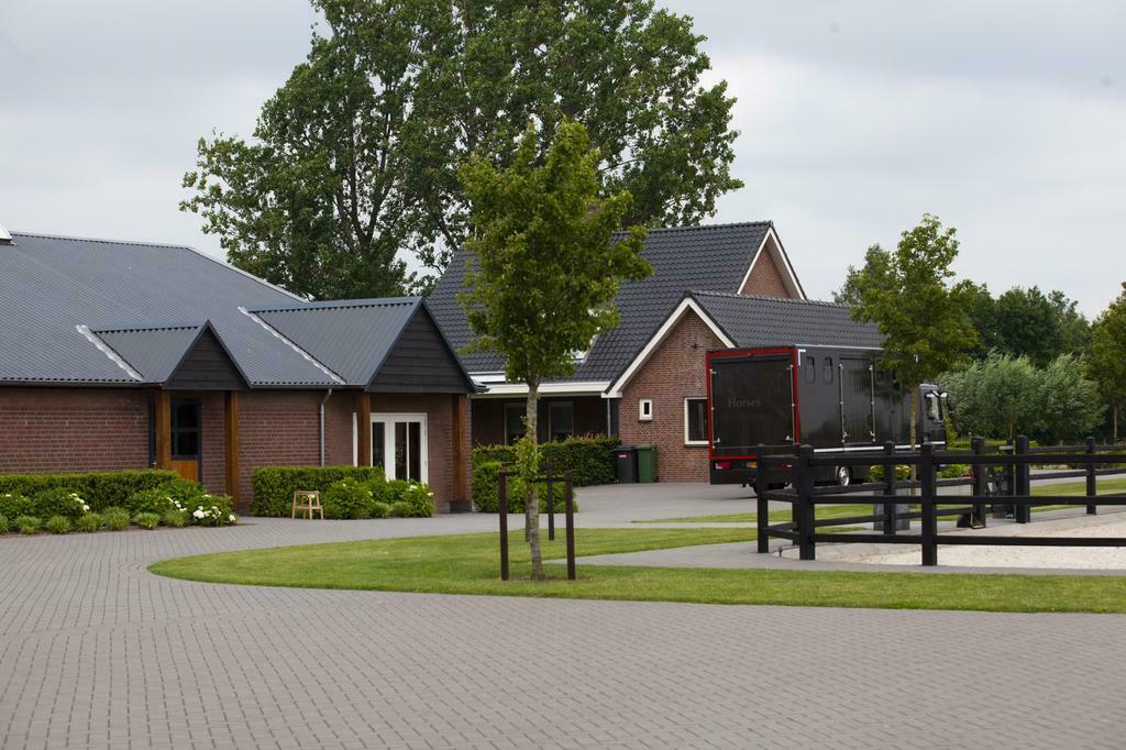 GEVRAAGD SPRINGPAARDEN!, Dieren en Toebehoren, Paarden