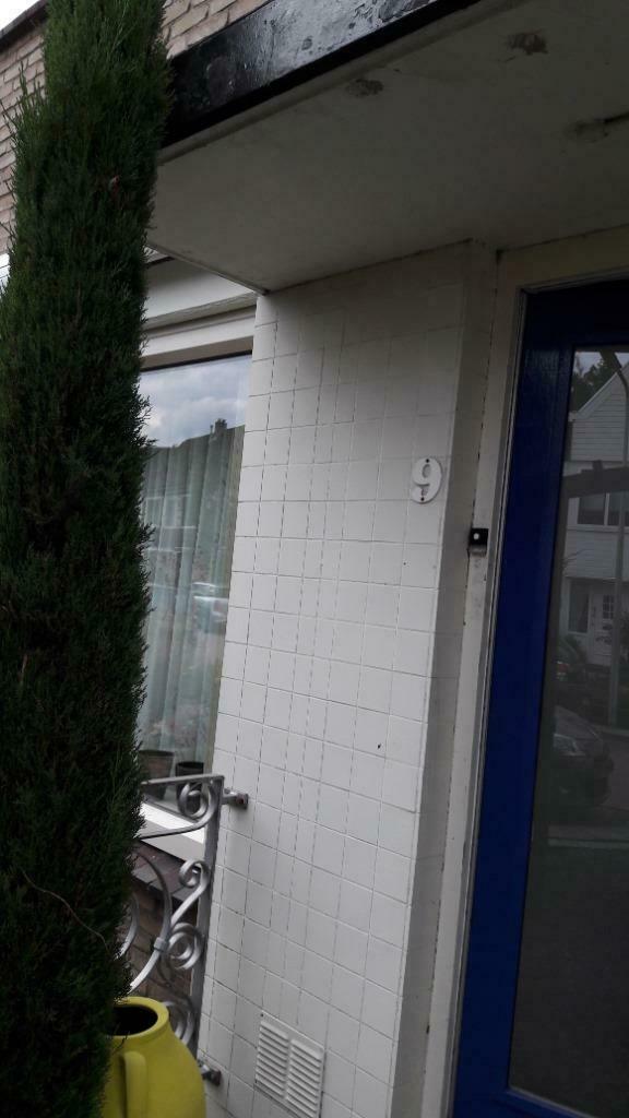 Foto 7 van stukadoor