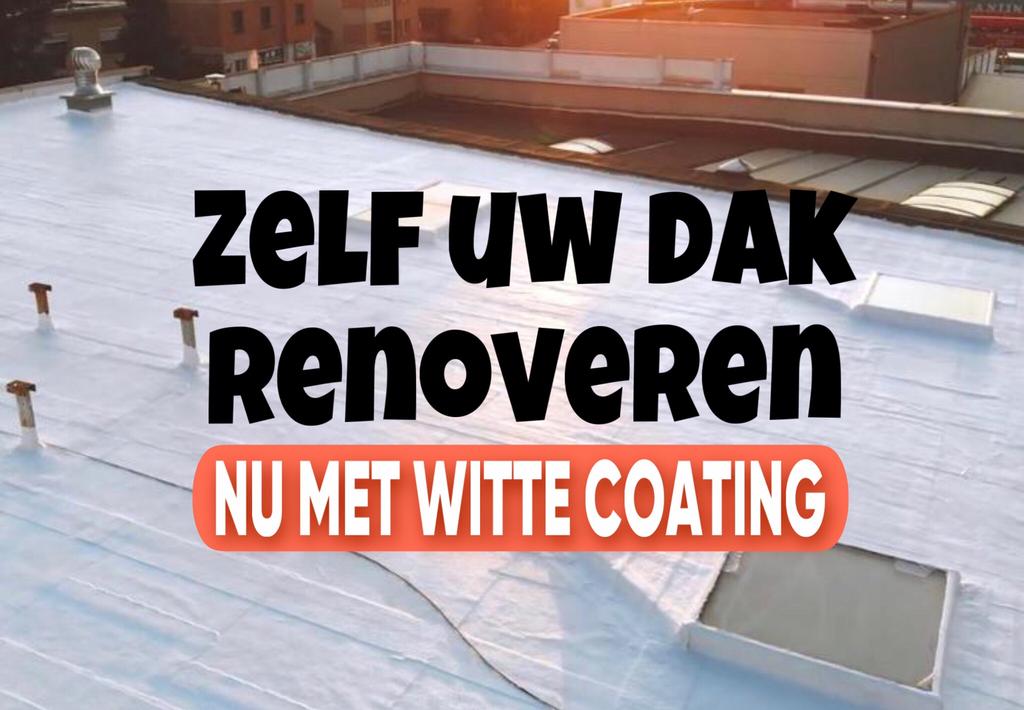 Dak Lek - Afdichten WITTE siliconen + Koelen va€14,50p/l exc, Overige materialen, Overige kleuren, Overige typen, Nieuw