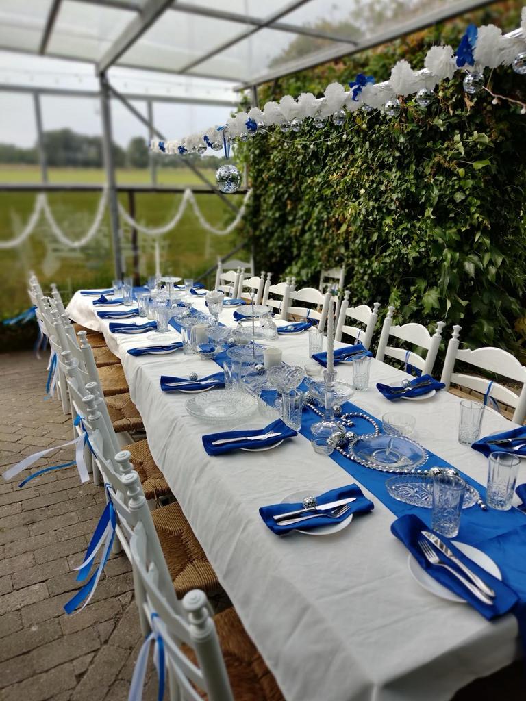 Feest Tafels Stoelen Partyspullen huur, Ophalen, Zo goed als nieuw, Overige