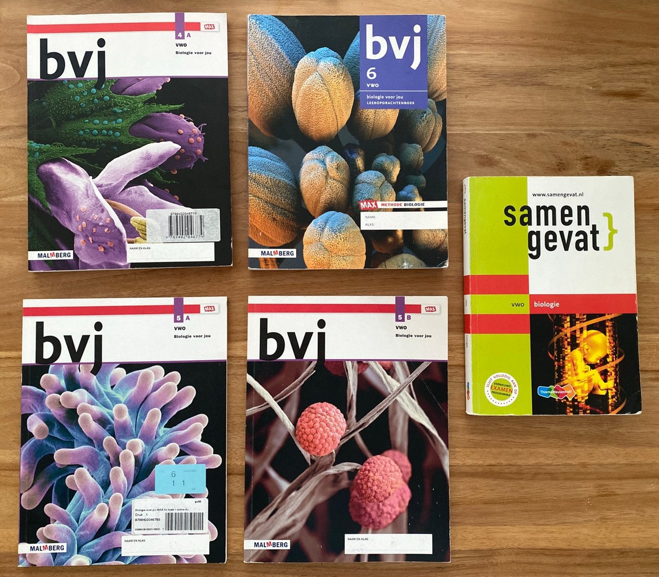 BVJ Biologie Voor Jou VWO 4a, 5A en 5B, 6 + samengevat, Gelezen, VWO, Malmberg, Biologie