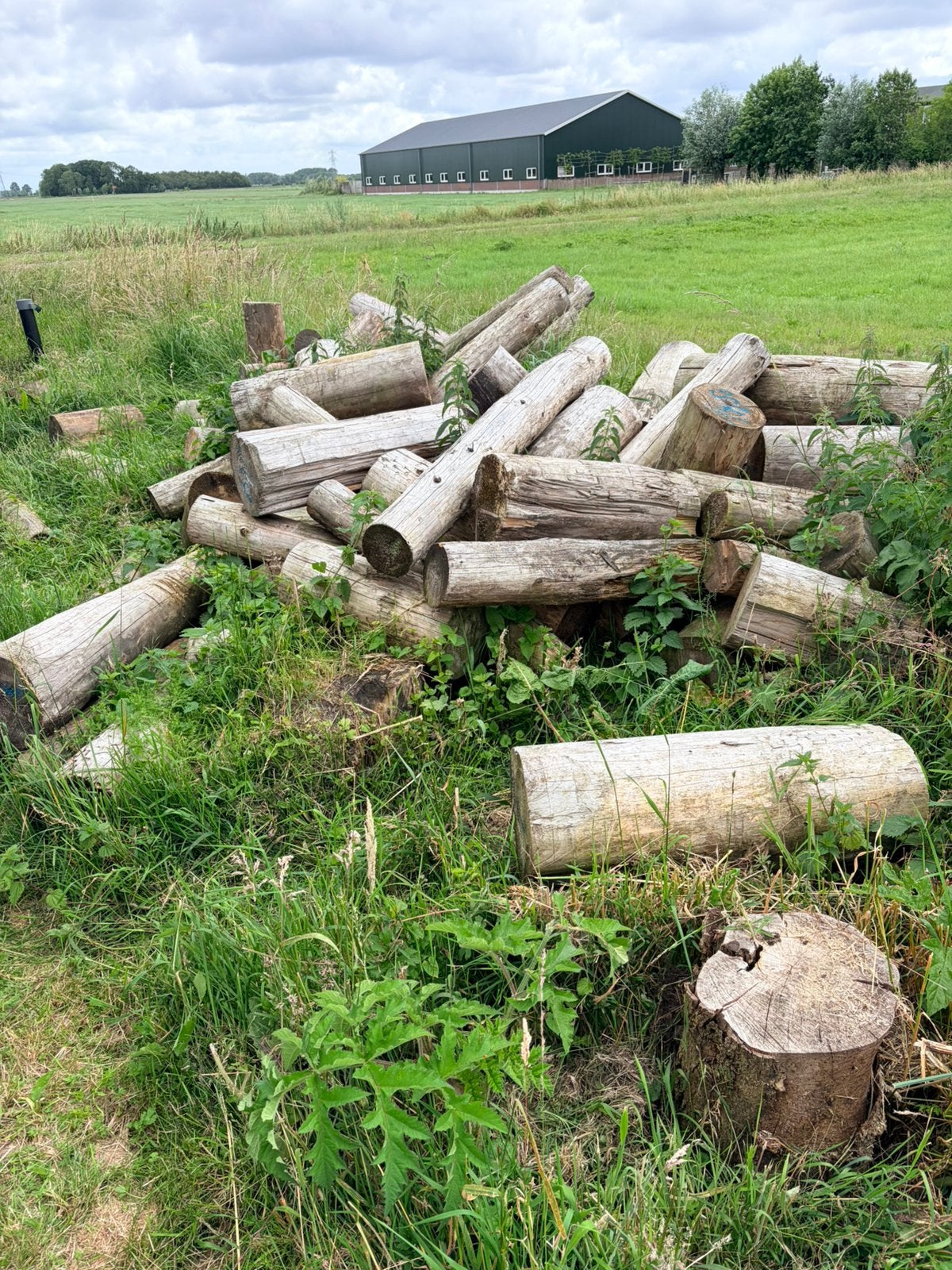 Paar kuub vuren heipalen brandhout, Minder dan 3 m³, Ophalen