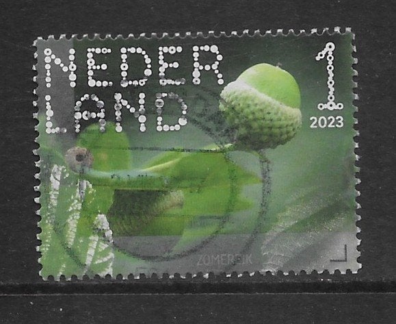 2023, De Wieden, Zomereik [4114] (K0805), Ophalen of Verzenden