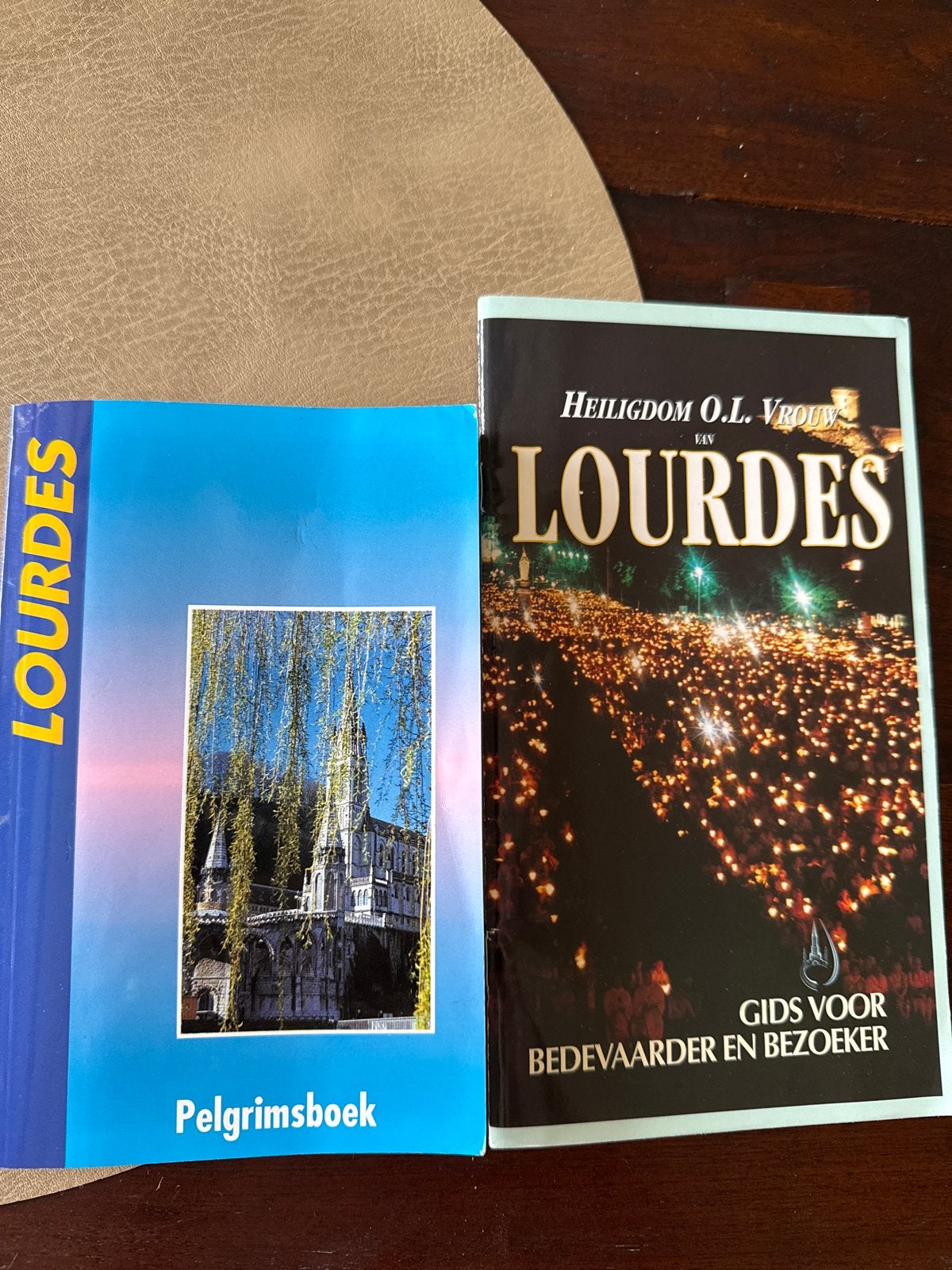 Lourdes Pelgrimsboek & Gids voor Bedevaarder en Bezoeker, Ophalen of Verzenden, Gelezen, Spiritualiteit algemeen, Achtergrond en Informatie