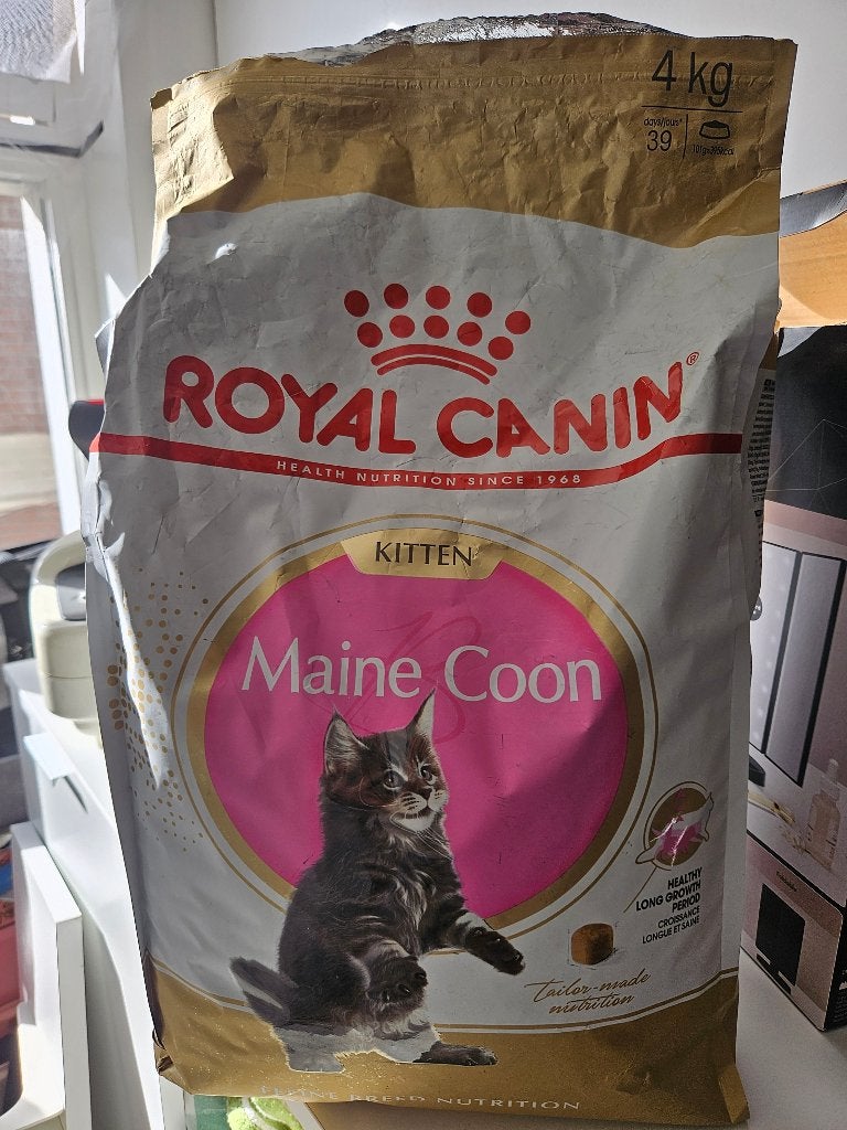 Royal Canin Main Coon kitten, Ophalen of Verzenden, Kat