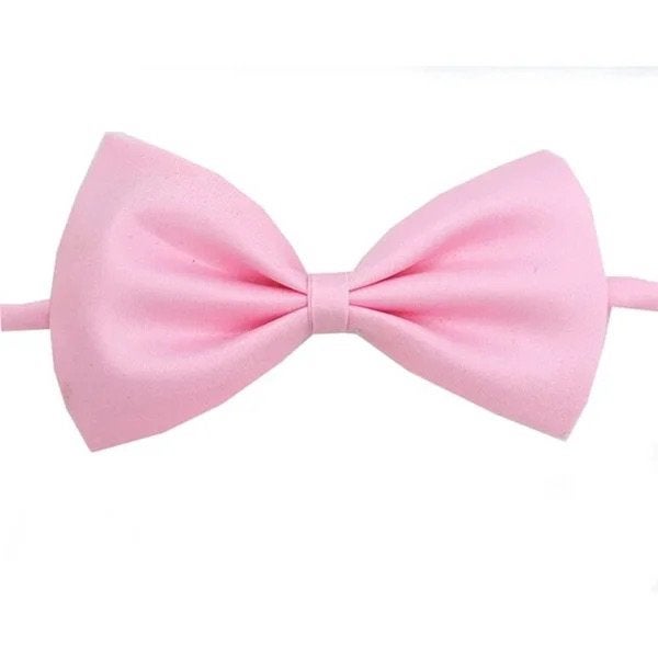 Katten strikjes in diverse kleuren, Nieuw, Ophalen of Verzenden, Info@sweet-one.nl, Struikheide 64, 3069lj, Rotterdam