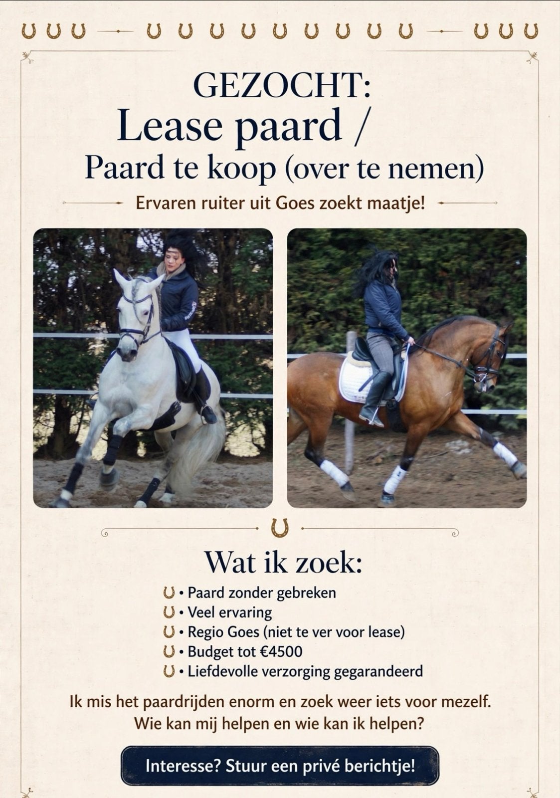Gezocht! Leuk paard, Ophalen of Verzenden