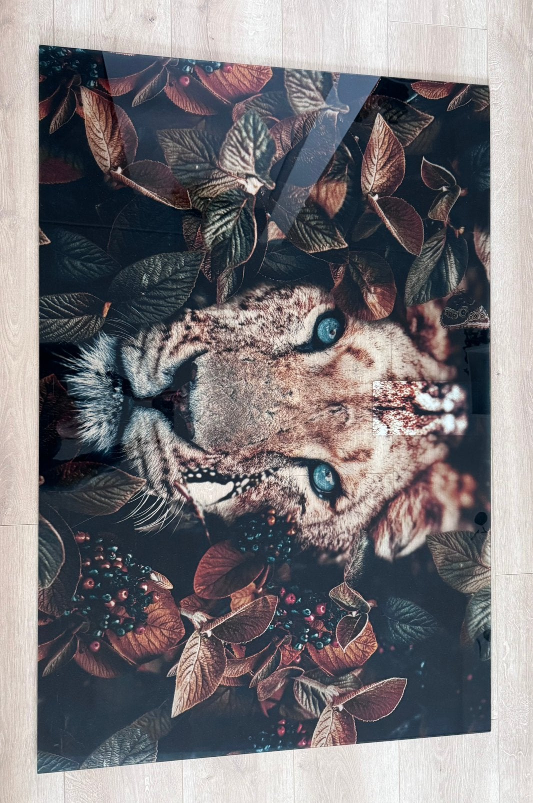 Plexiglas schilderij leeuw, Ophalen