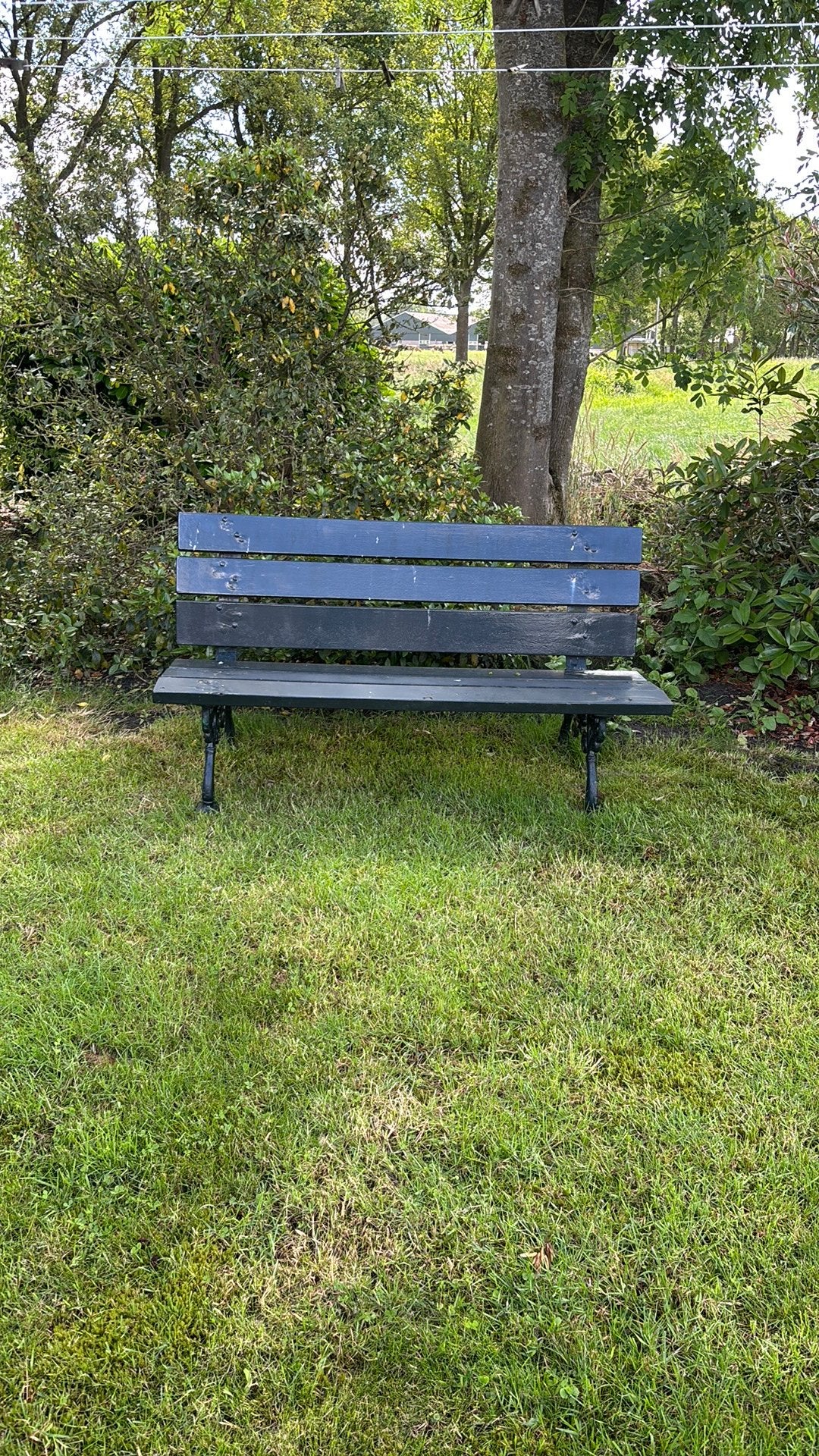 Vintage tuinbank met gietijzeren frame, Ophalen, Gebruikt, Hout
