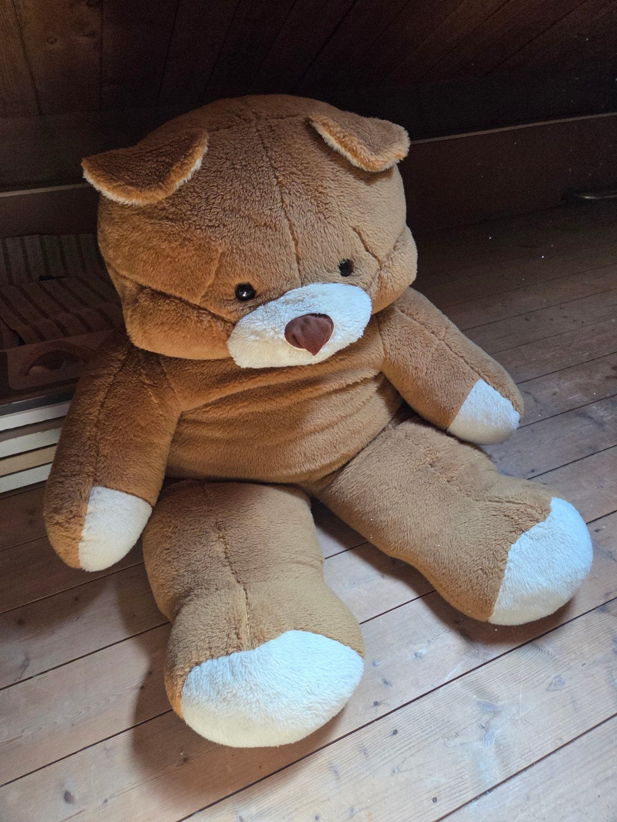 Grote knuffelbeer - Bruin en wit, Ophalen, Beer, Zo goed als nieuw, Bruin