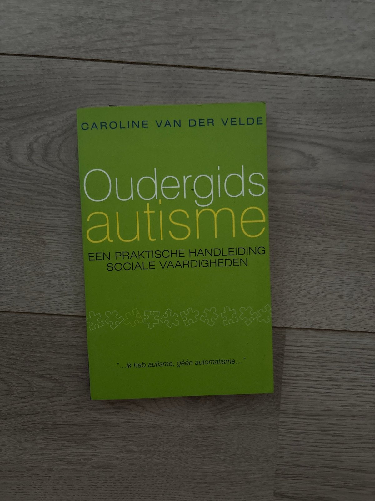 Oudergids autisme: Praktische handleiding sociale vaardighed, Boeken, Studieboeken en Cursussen, Ophalen of Verzenden, Gamma, Zo goed als nieuw