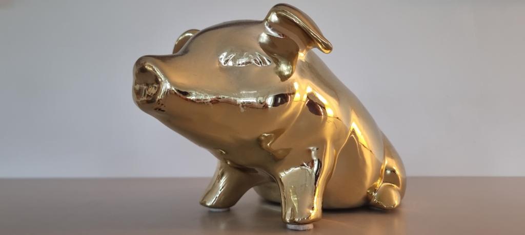 Pols potten spaarvarken goud, Ophalen of Verzenden, Zo goed als nieuw, Dier